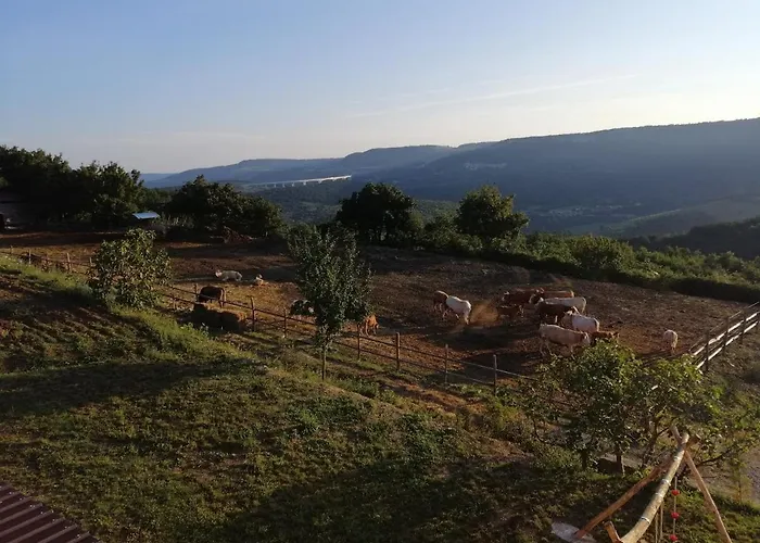 Jakomin אתר קמפינג *